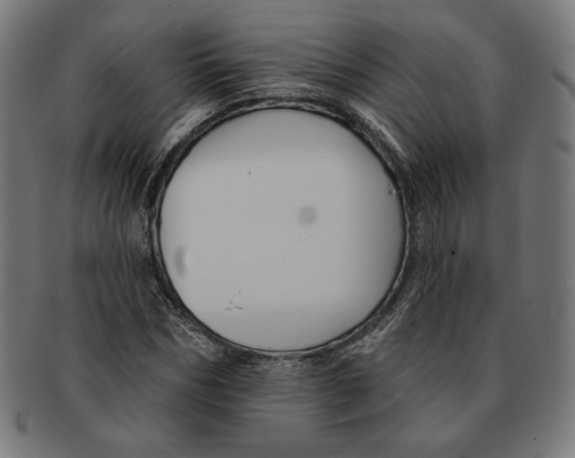 X0000091170970200709060930