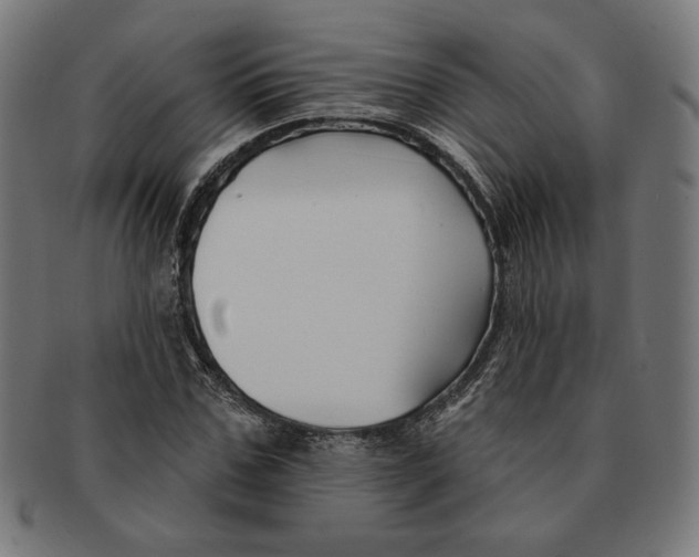 X0000091170971200709060930