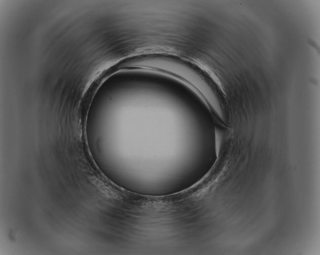 X0000091170973200709060930