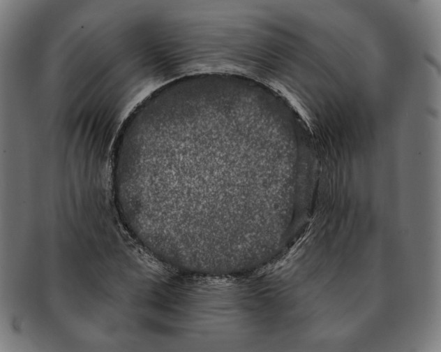 X0000091170975200709060930