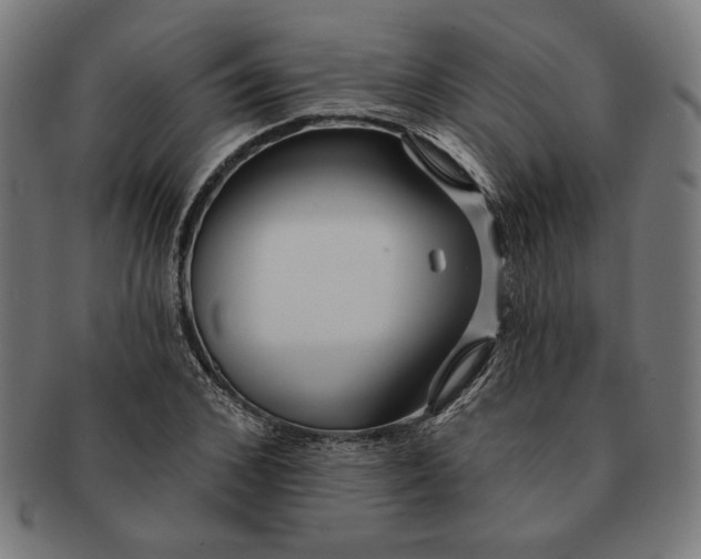 X0000091170976200709060930