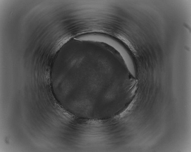 X0000091170977200709060930