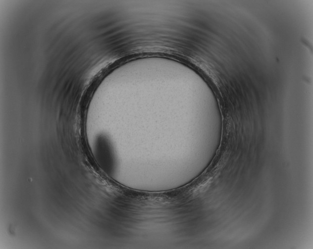 X0000091170979200709060930