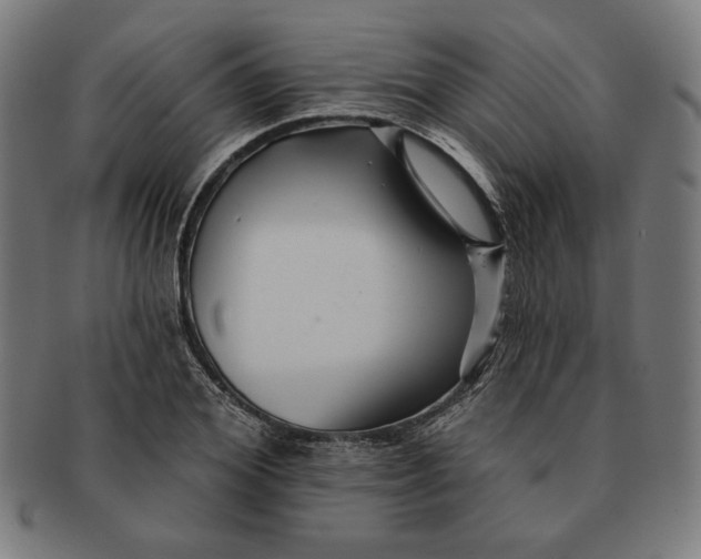 X0000091170980200709060930