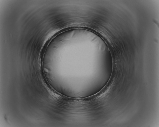 X0000091170981200709060930