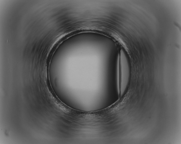 X0000091170984200709060930