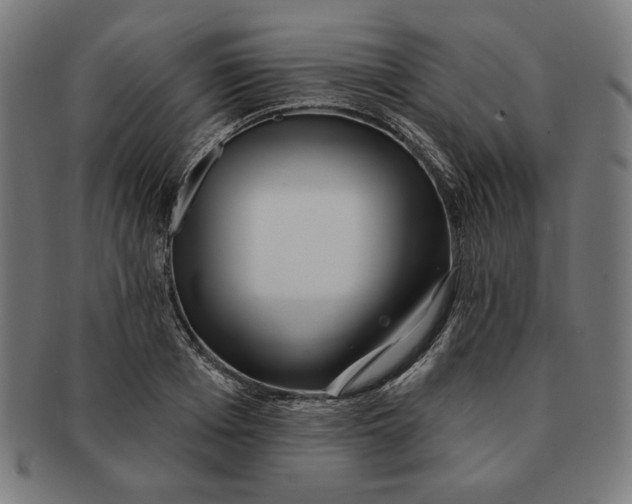 X0000091170985200709060930