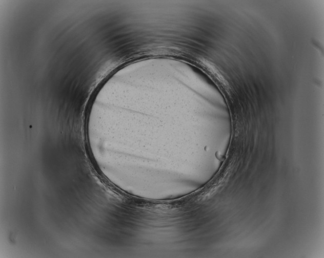 X0000091170986200709060930