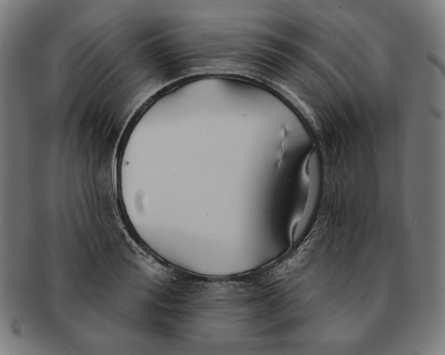 X0000091170988200709060930