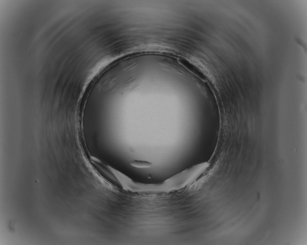 X0000091170989200709060930