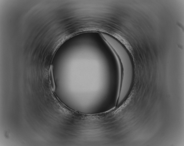 X0000091170993200709060930