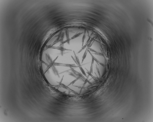 X0000091170994200709060930