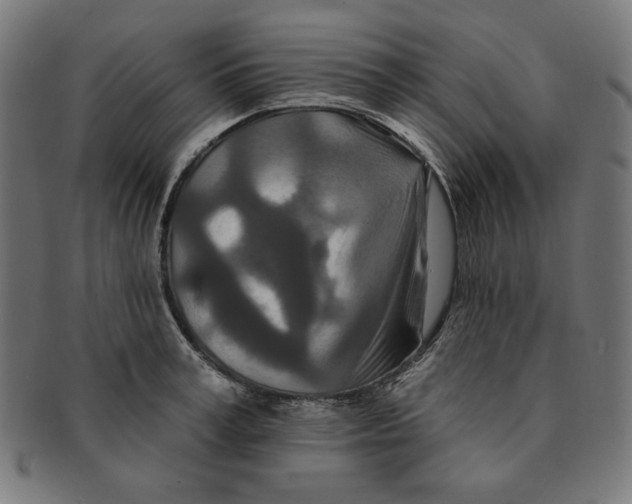 X0000091170995200709060930