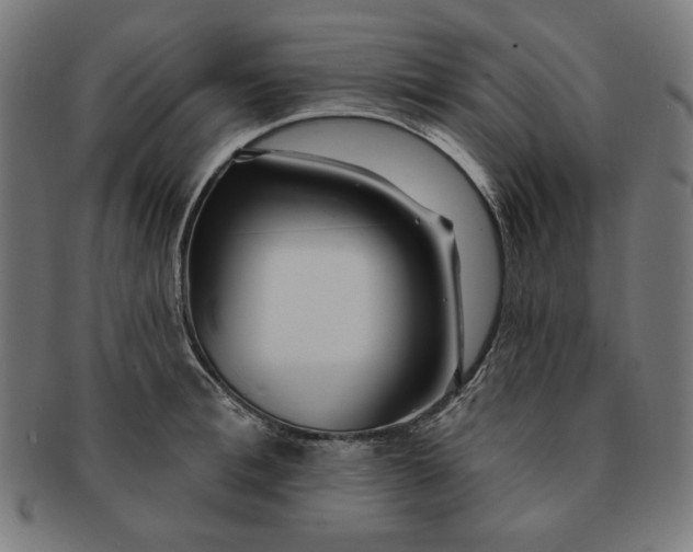 X0000091170996200709060930