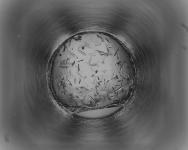 X0000091170998200709060930