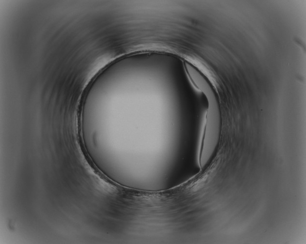 X0000091170999200709060930