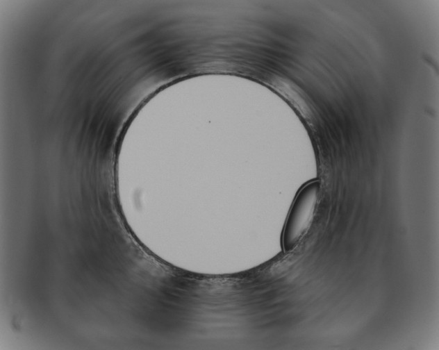 X0000091171000200709060930