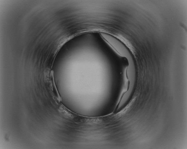 X0000091171001200709060930