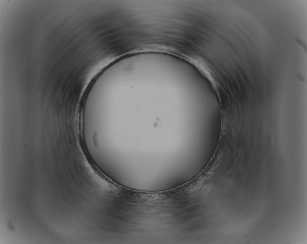 X0000091171003200709060930