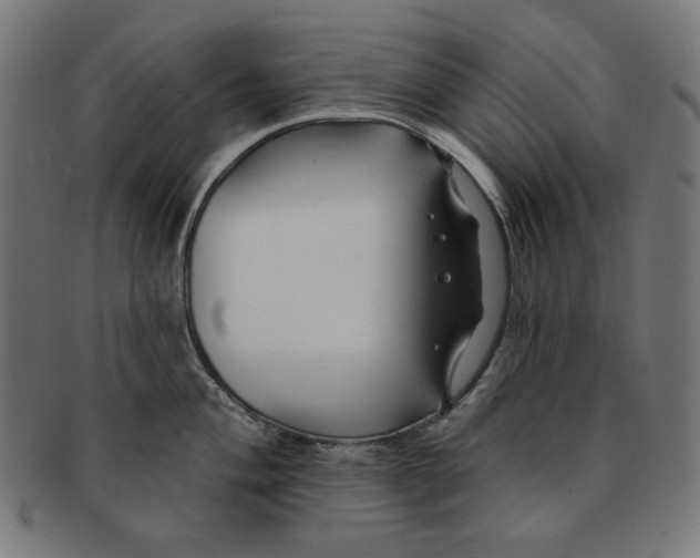 X0000091171004200709060930