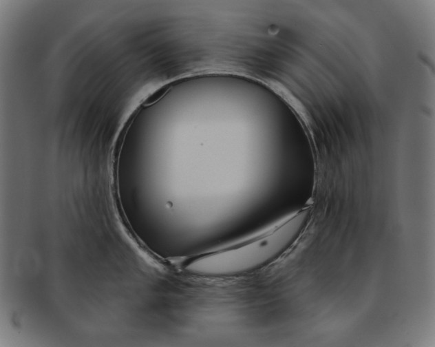 X0000091171005200709060930