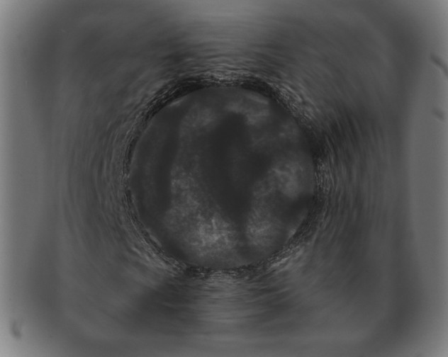 X0000091171009200709060929