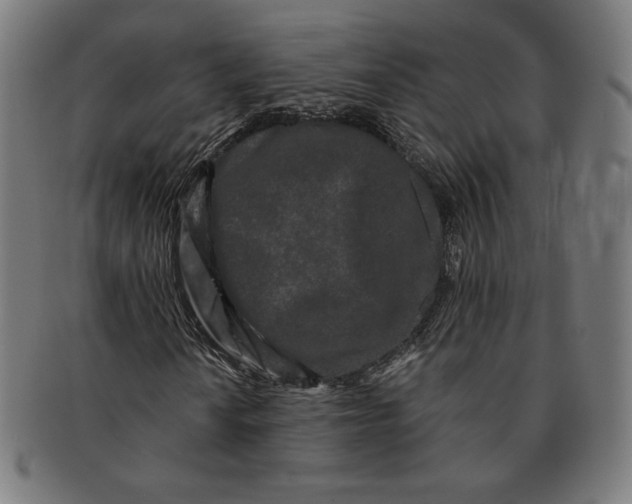 X0000091171010200709060929