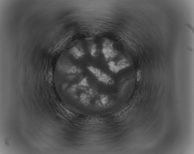 X0000091171011200709060929