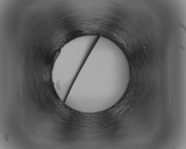 X0000091171012200709060929