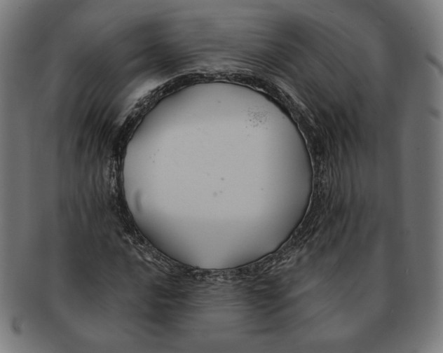 X0000091171016200709060929