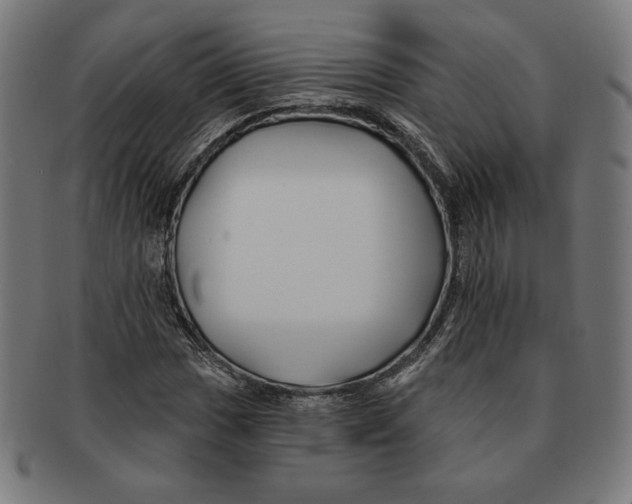 X0000091171017200709060929