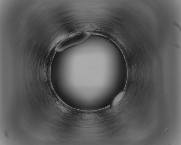 X0000091171018200709060929