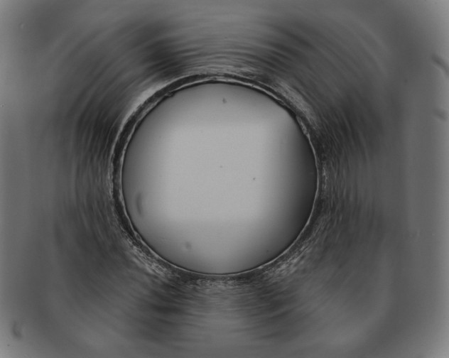 X0000091171020200709060929