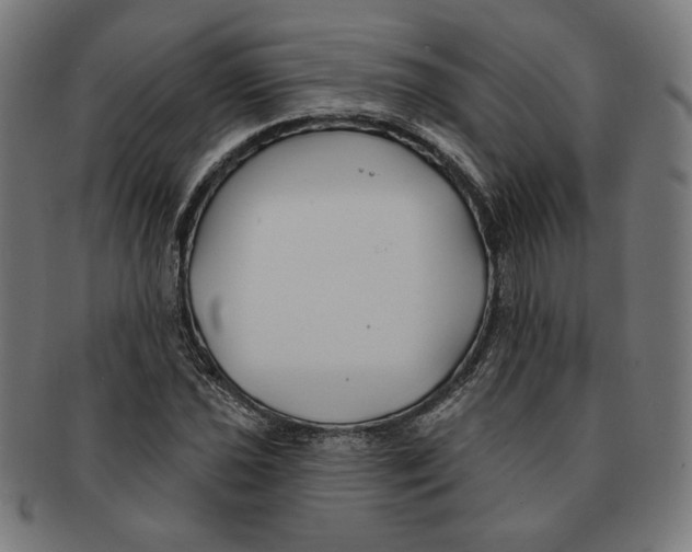 X0000091171021200709060929