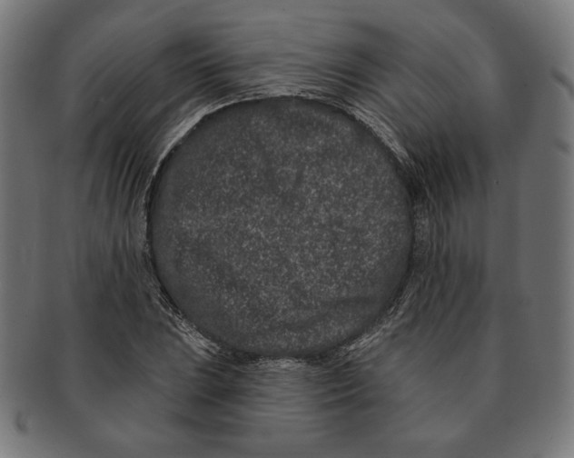 X0000091171023200709060929