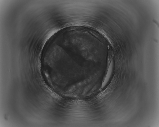 X0000091171024200709060929