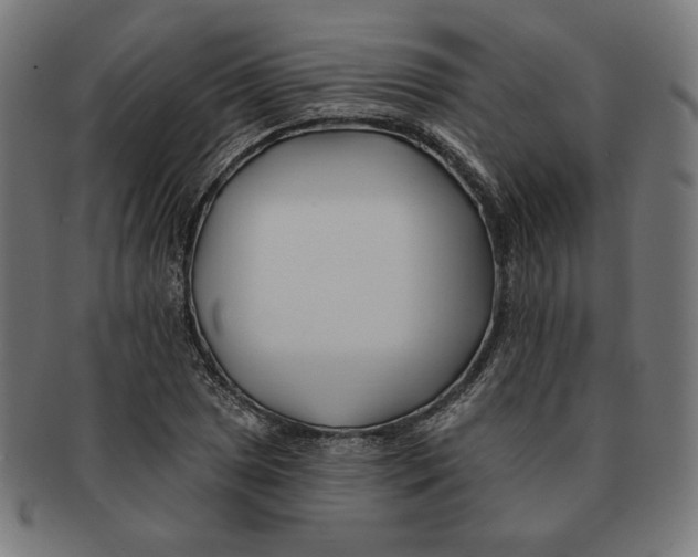 X0000091171025200709060929