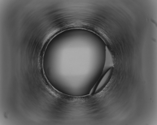 X0000091171026200709060929