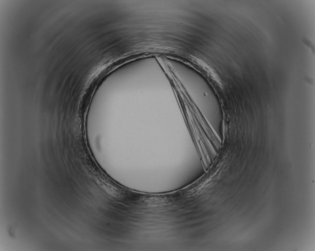 X0000091171027200709060929