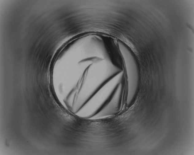 X0000091171028200709060929