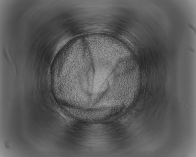 X0000091171031200709060930