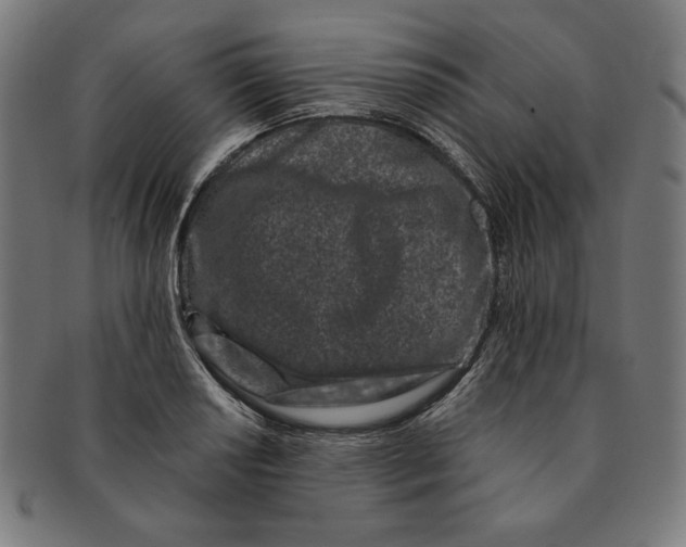 X0000091171034200709060930