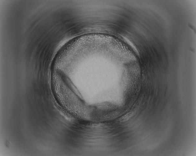 X0000091171035200709060930