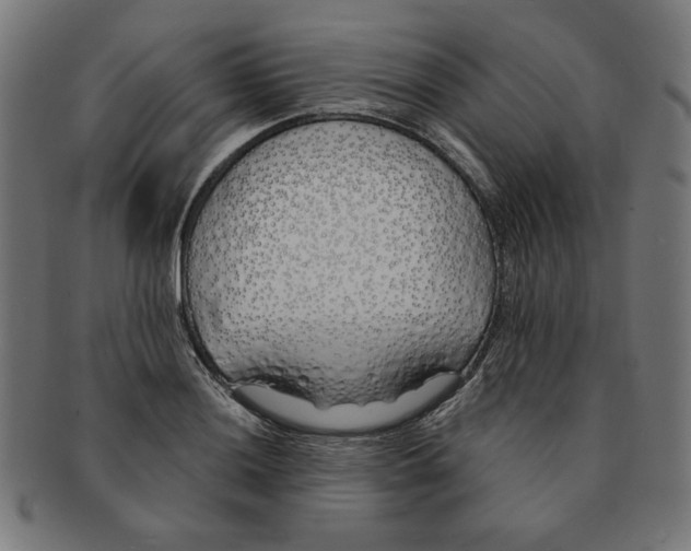 X0000091171036200709060930