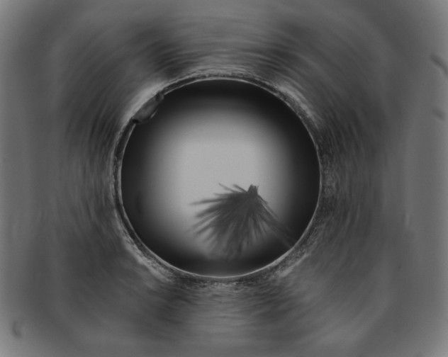 X0000091171038200709060930