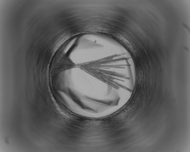 X0000091171039200709060930