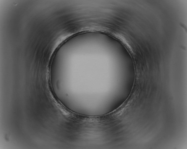 X0000091171040200709060930