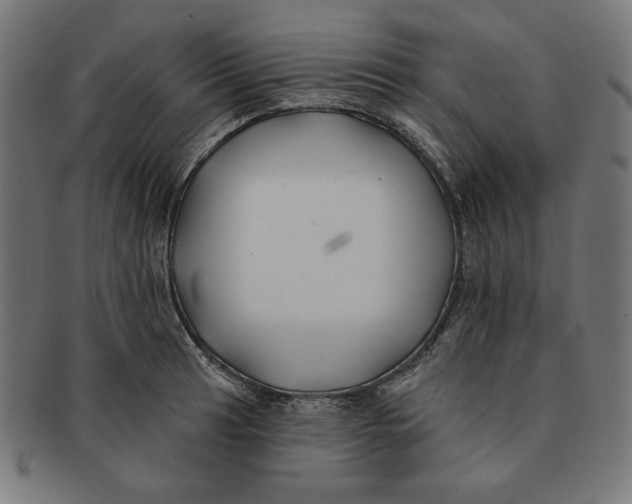 X0000091171041200709060930