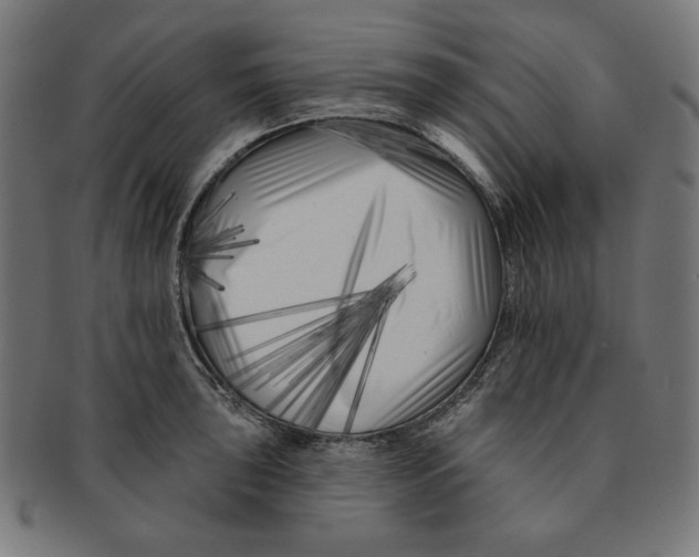 X0000091171043200709060930