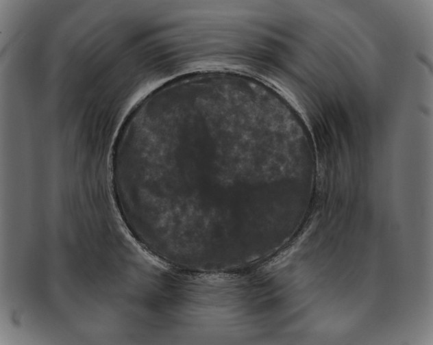 X0000091171045200709060930